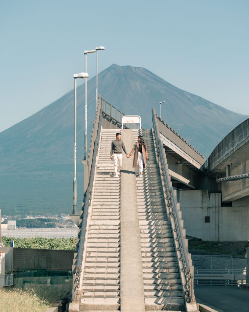 Faye Travel Insurance Case Study