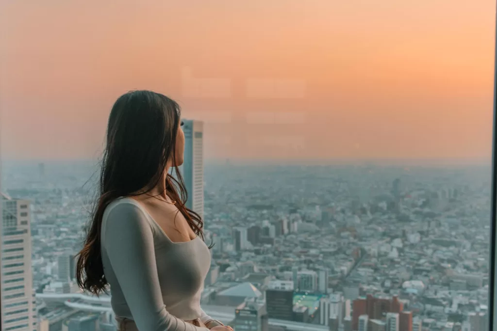 Free panoramic view of Tokyo from the Tokyo Metropolitan Government Building.