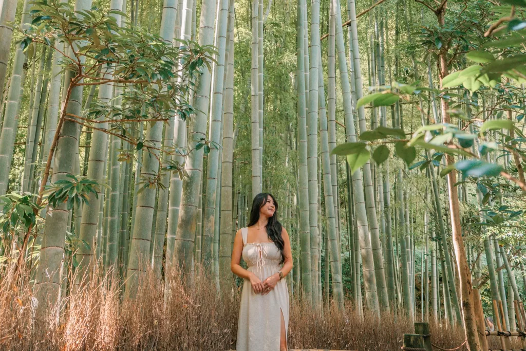 Wandering through the peaceful bamboo forest in Kamakura, Japan.