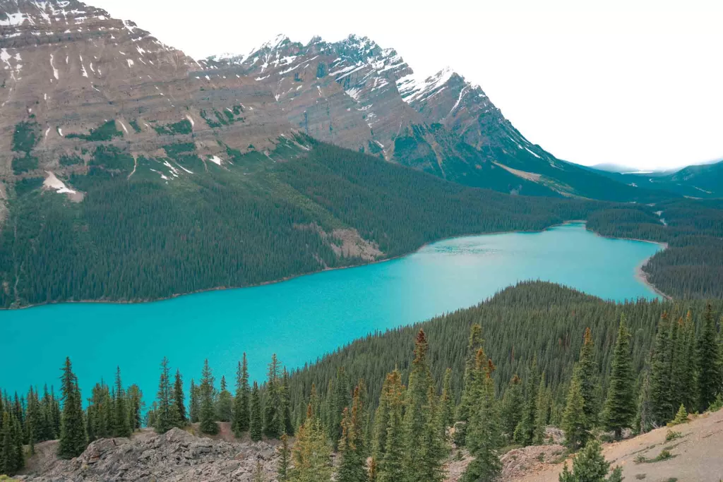 Blue lake and snowy mountains at Peyto Lake's viewpoint