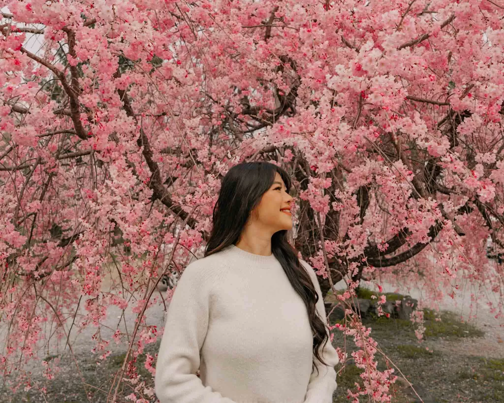Angelia posing in front of cherry blossom tree at Arashiyama Park in Kyoto