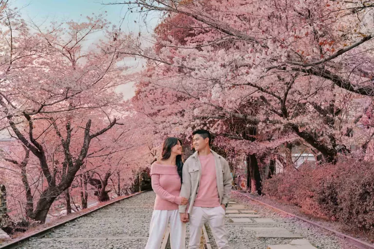 Our 15 Favorite Cherry Blossom Spots in Kyoto 🌸