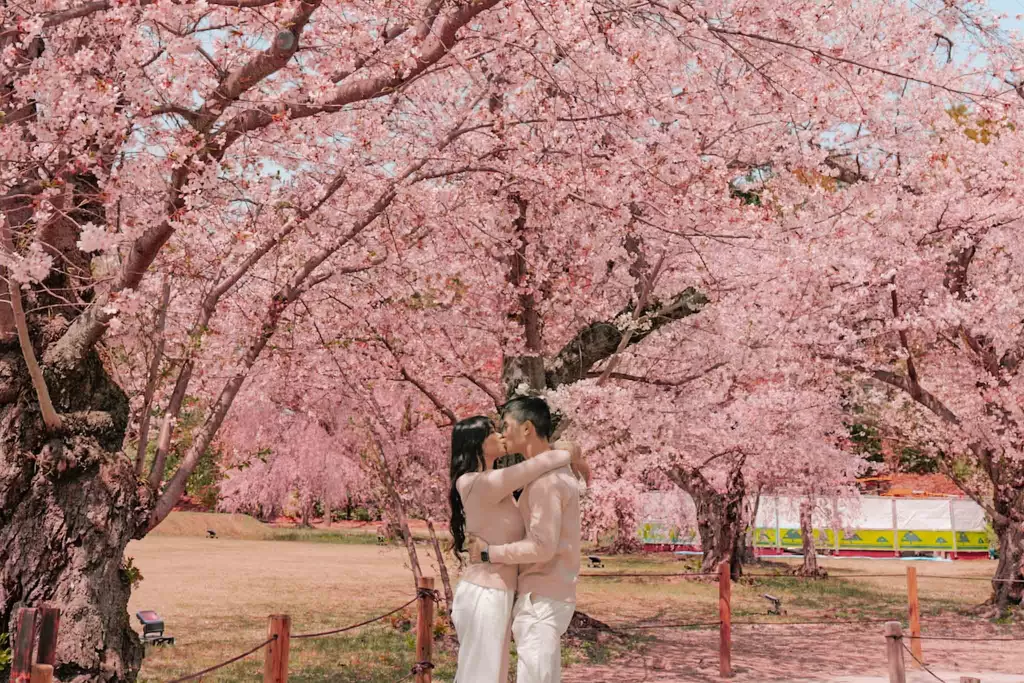 Angelia & Chris kissing at Nijo Castle