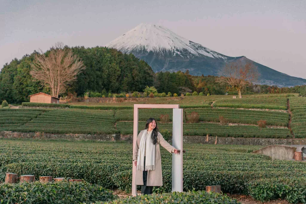 Angelia opening the door in front of Mt. Fuji at green tea bushes at Obuchi Sasaba