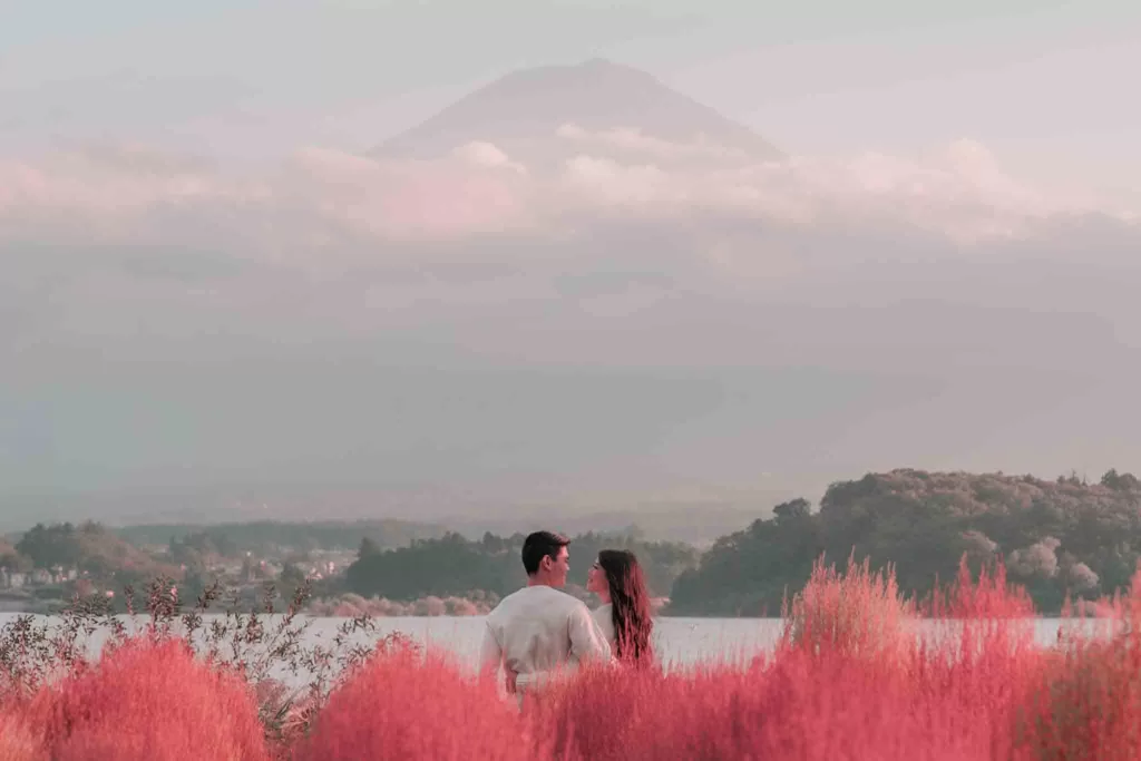 Angelia & Chris hugging in front of the pink kochia bushes at Oishi Park in front of Mt. Fuji